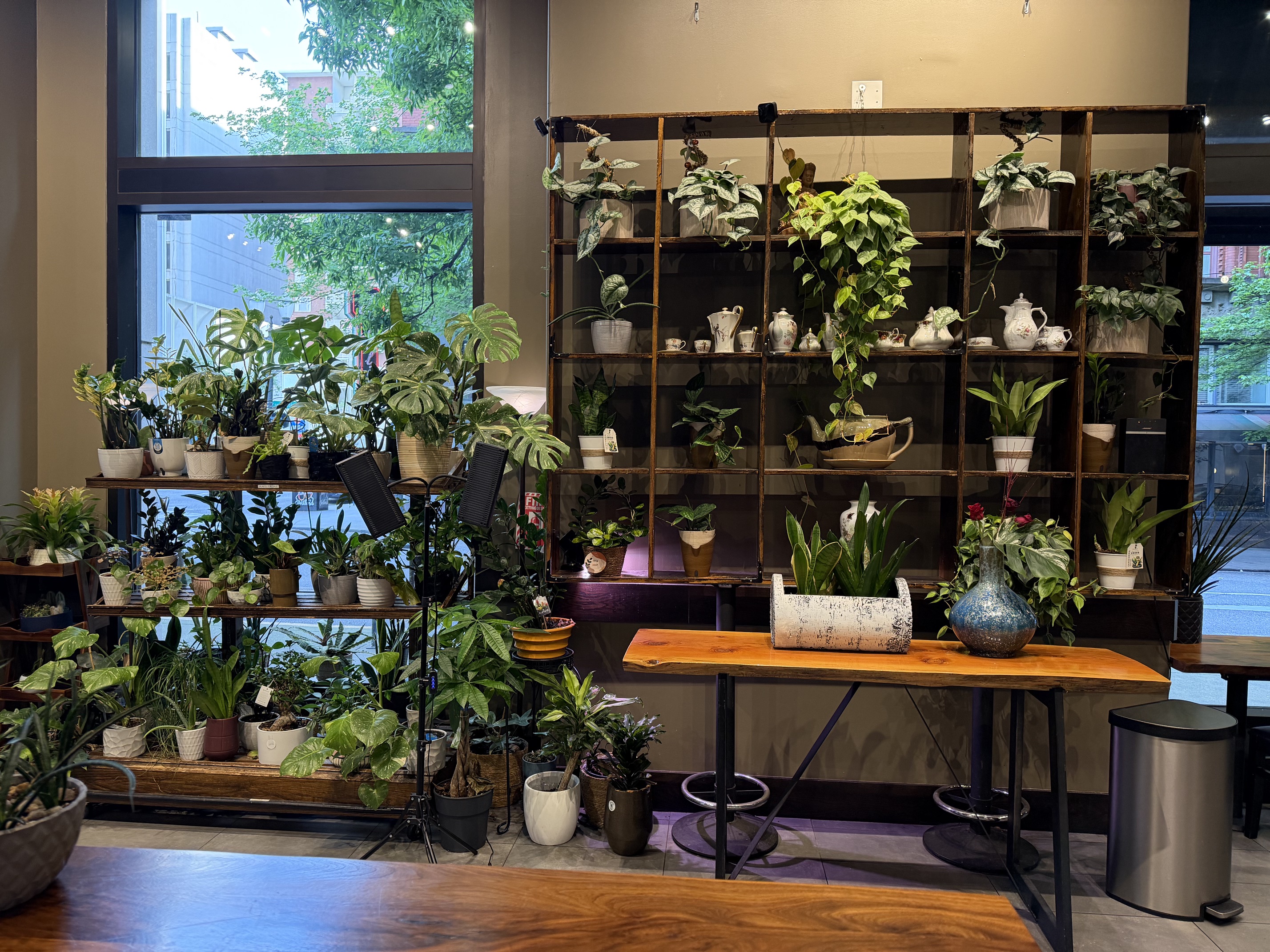 Lush greenery and cozy ambiance inside the cafe